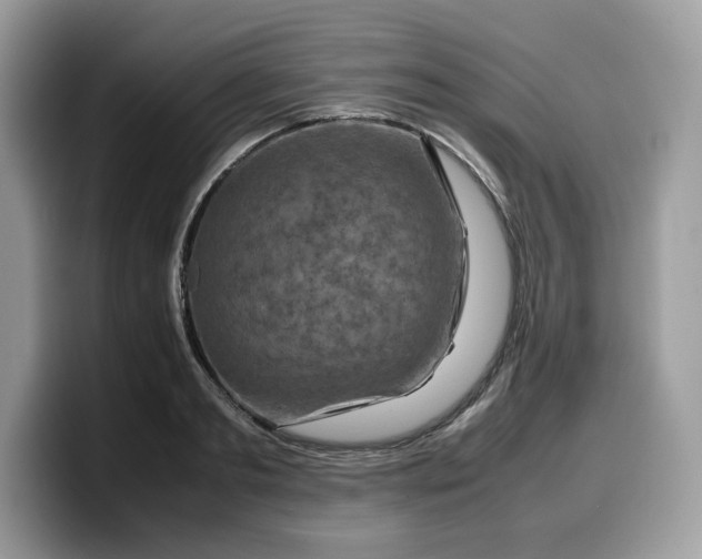 X0000099570893200805301538