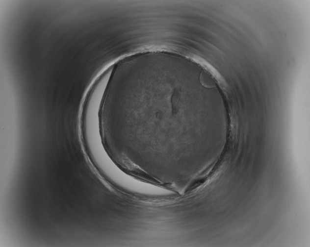 X0000099570894200805301538