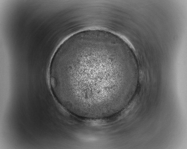 X0000099570895200805301538
