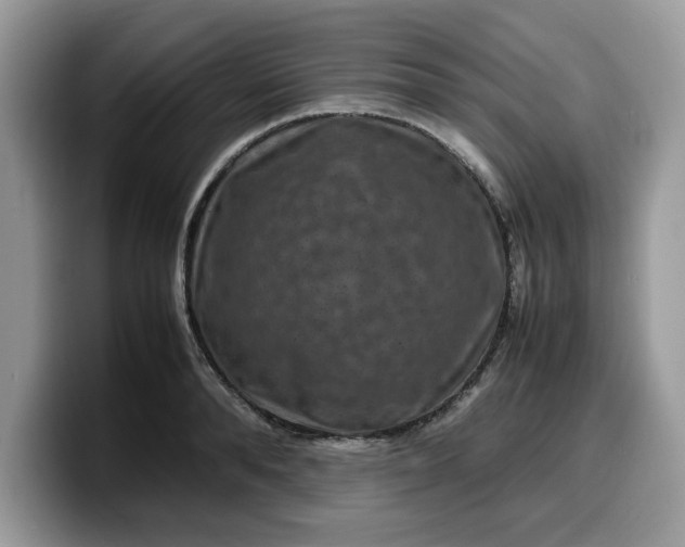 X0000099570896200805301538