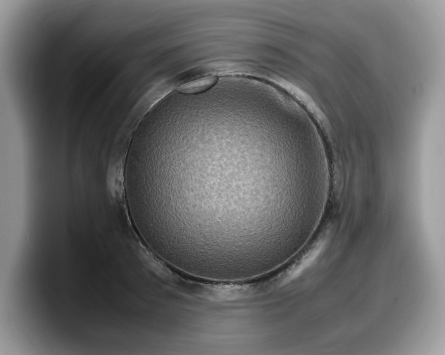 X0000099570897200805301538