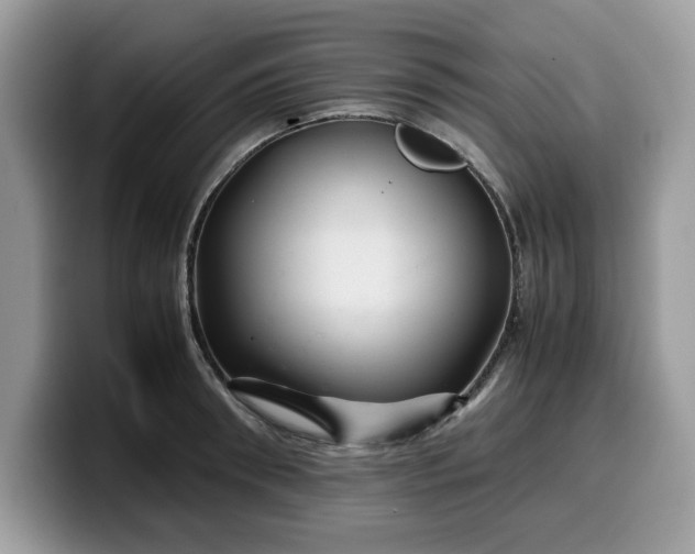 X0000099570898200805301538