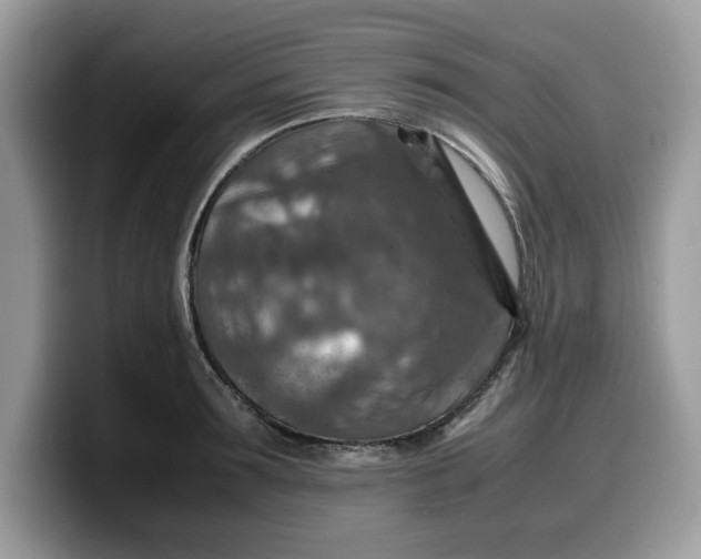 X0000099570899200805301538