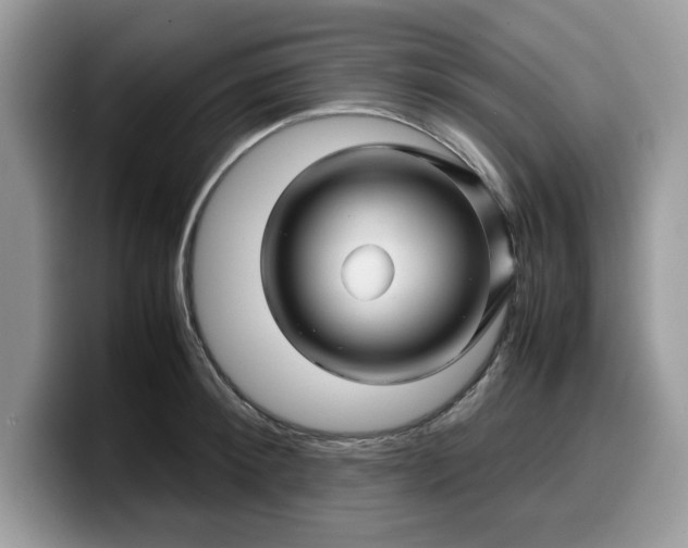 X0000099570900200805301538