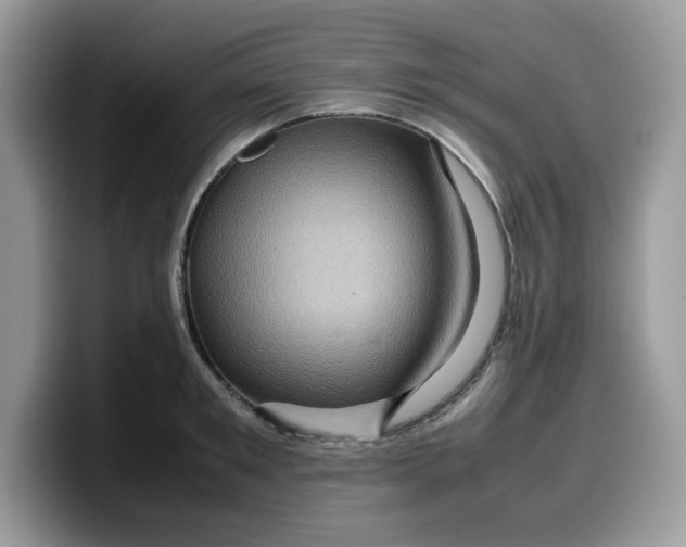 X0000099570901200805301538
