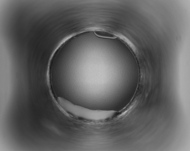 X0000099570902200805301538