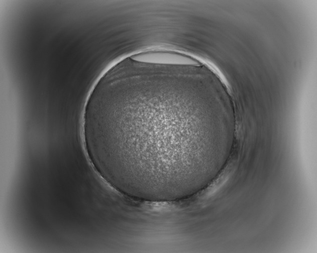 X0000099570903200805301538