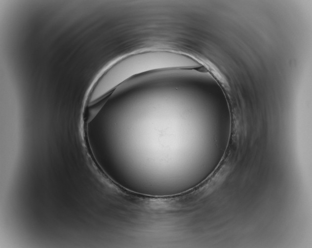 X0000099570904200805301538