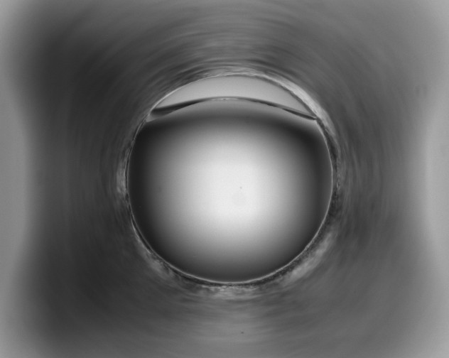 X0000099570905200805301538