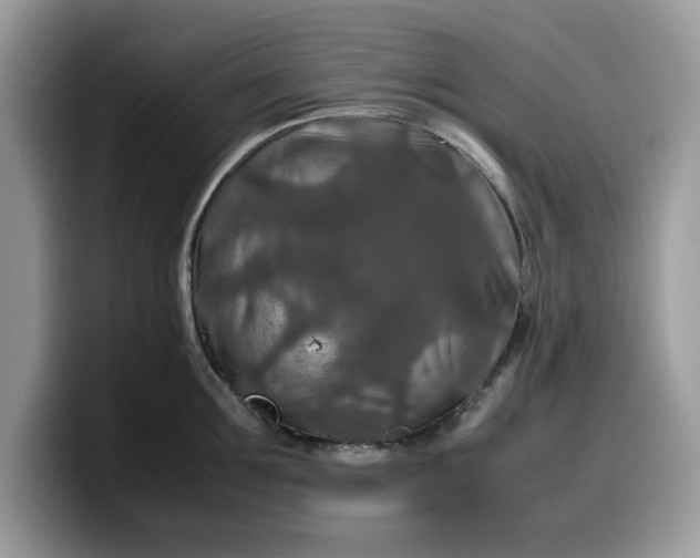 X0000099570907200805301538