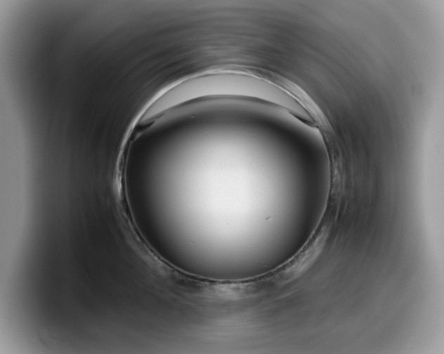 X0000099570908200805301538