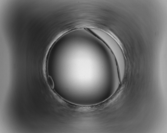 X0000099570909200805301538