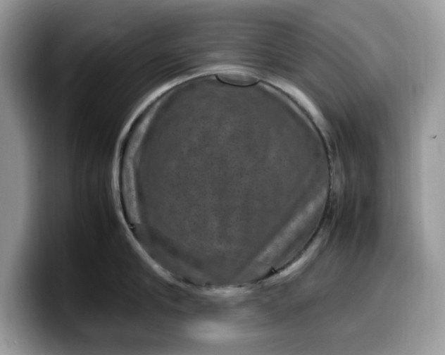 X0000099570910200805301538