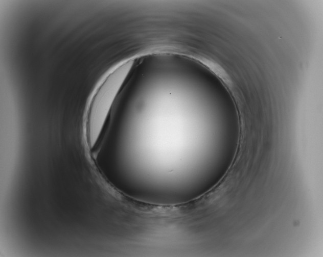 X0000099570912200805301538