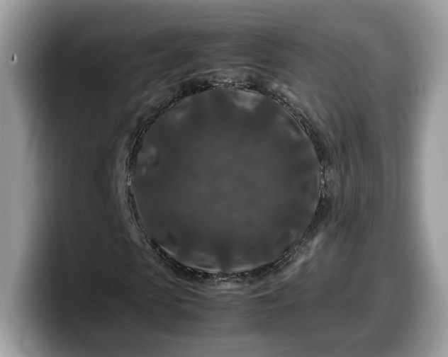 X0000099570913200805301537