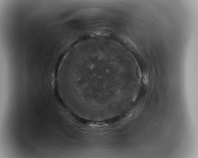 X0000099570915200805301537