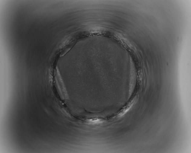 X0000099570916200805301537