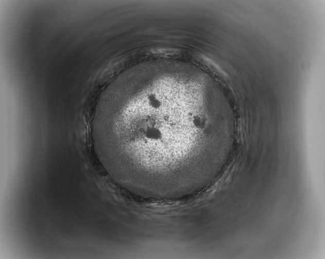 X0000099570917200805301537