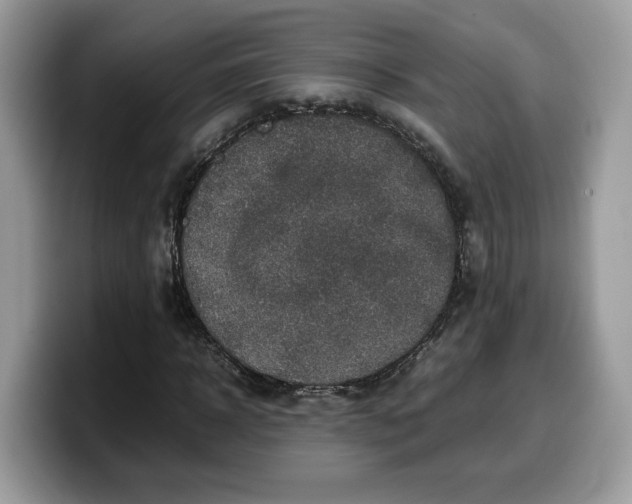 X0000099570918200805301537