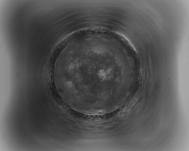 X0000099570919200805301537