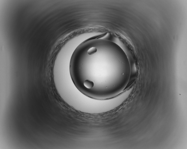 X0000099570920200805301537