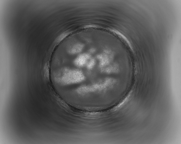 X0000099570921200805301537