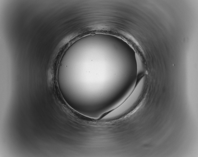 X0000099570922200805301537