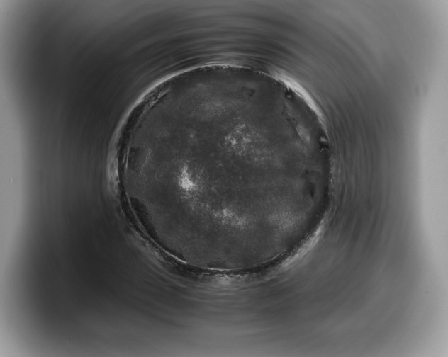 X0000099570923200805301537