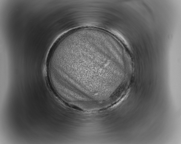 X0000099570924200805301537