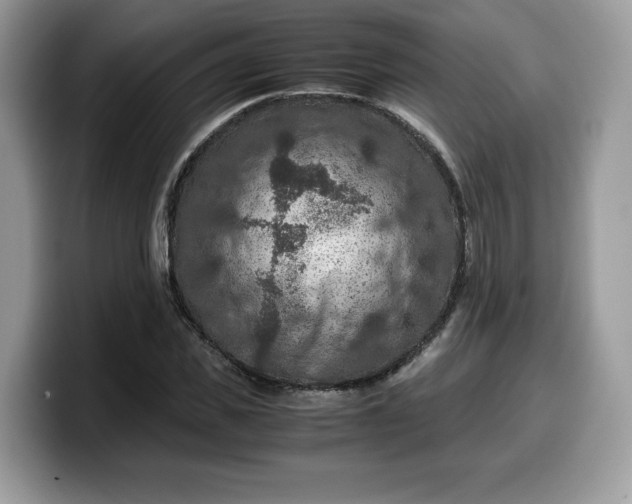 X0000099570925200805301538