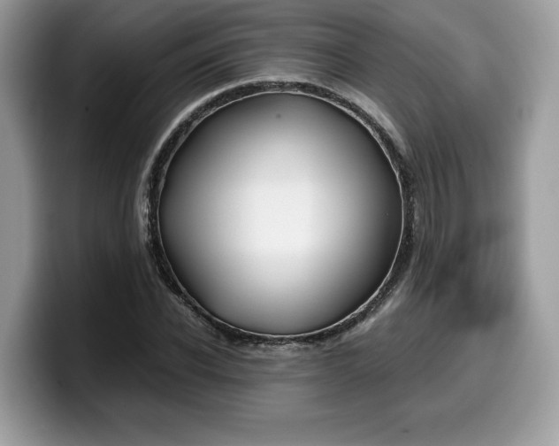 X0000099570926200805301538