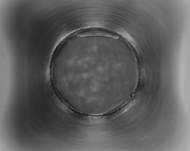 X0000099570928200805301538