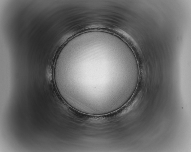 X0000099570929200805301538