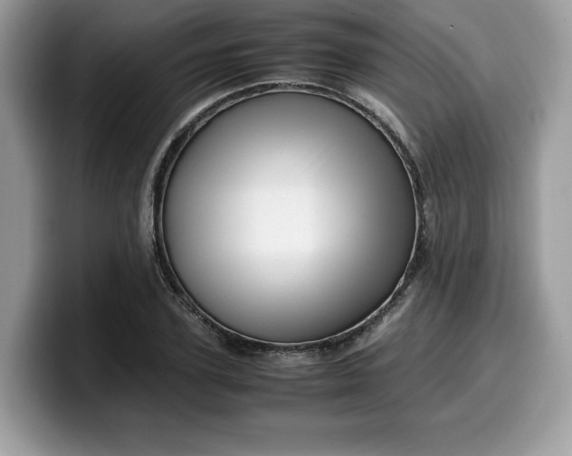 X0000099570931200805301538