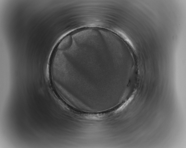 X0000099570932200805301538