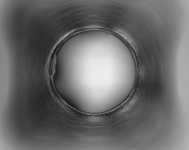 X0000099570933200805301538
