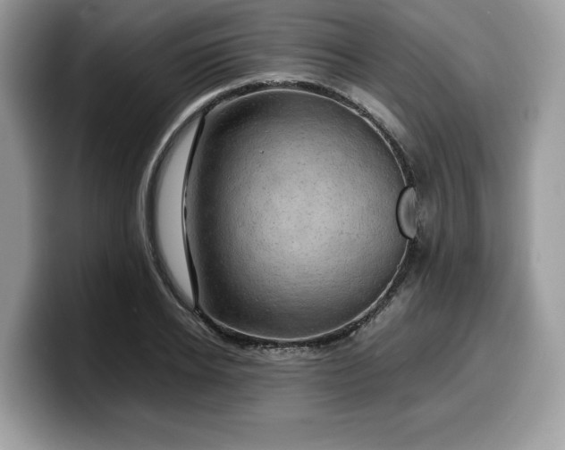 X0000099570934200805301538