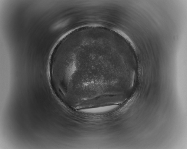 X0000099570935200805301538