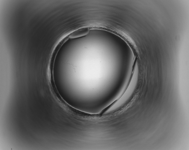 X0000099570936200805301538