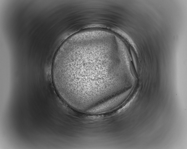 X0000099570937200805301538