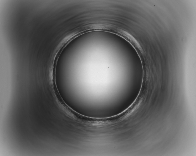 X0000099570938200805301538