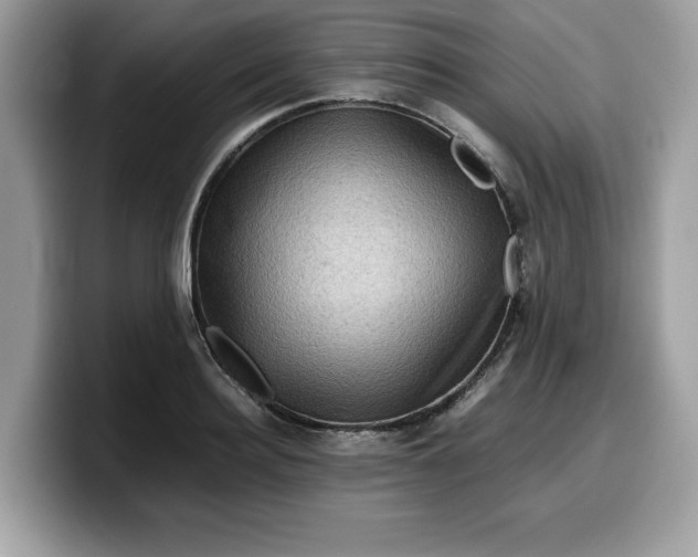 X0000099570940200805301538