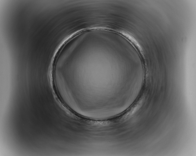 X0000099570941200805301538