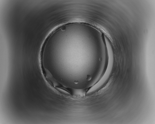 X0000099570942200805301538