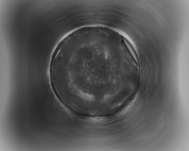 X0000099570943200805301538