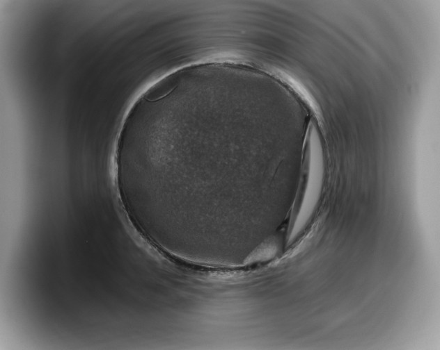 X0000099570944200805301538