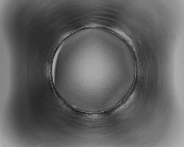 X0000099570945200805301538