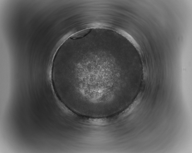 X0000099570946200805301538