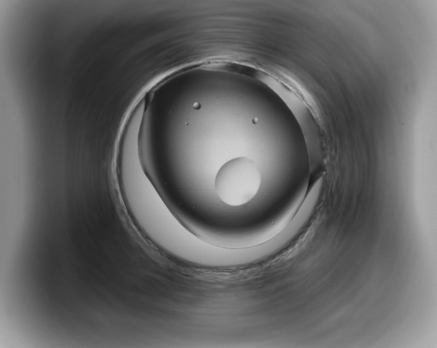 X0000099570948200805301538
