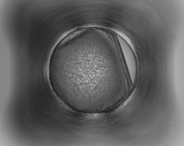 X0000099570949200805301538
